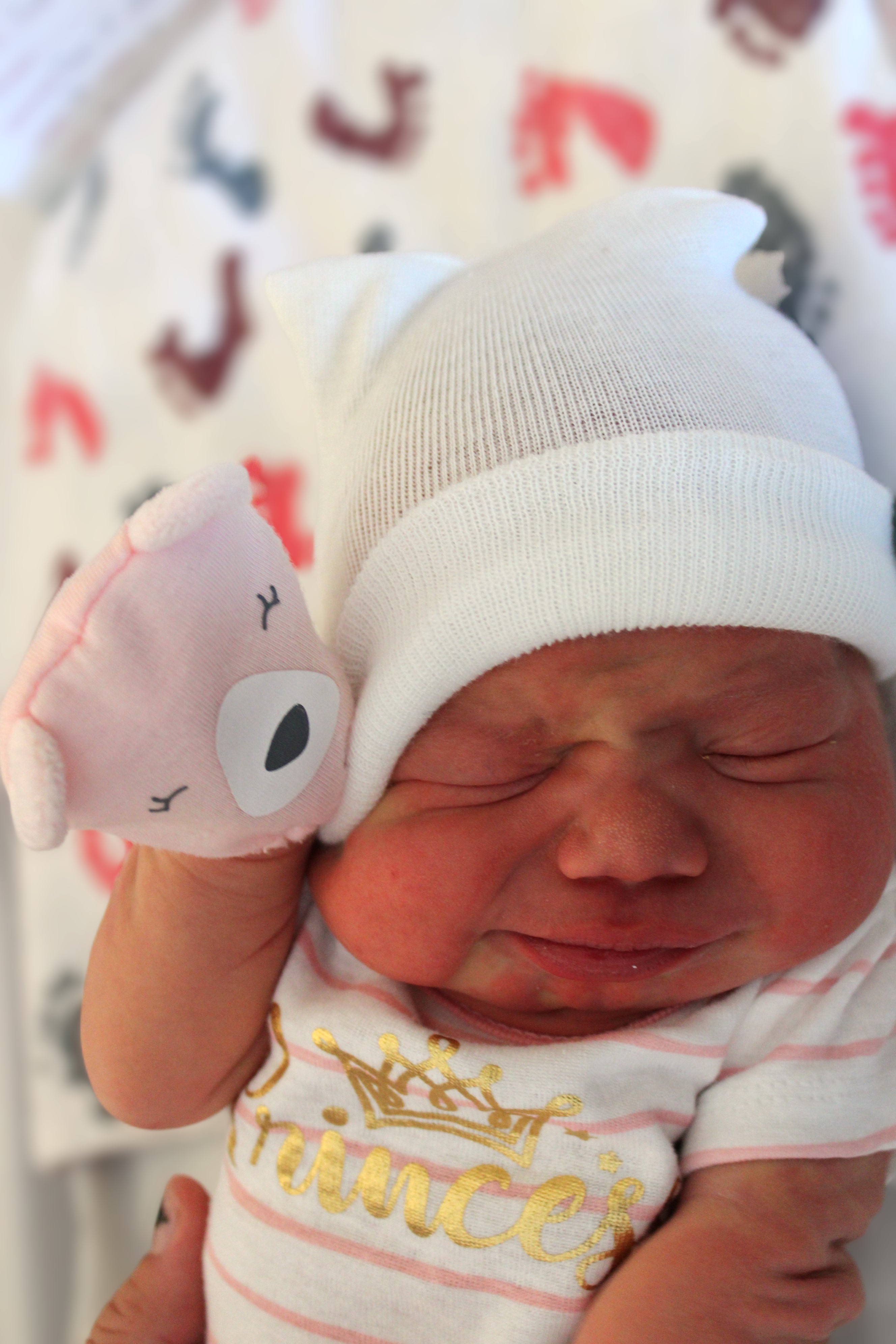 New Arrival Arrabella Everly Jo Nuzum