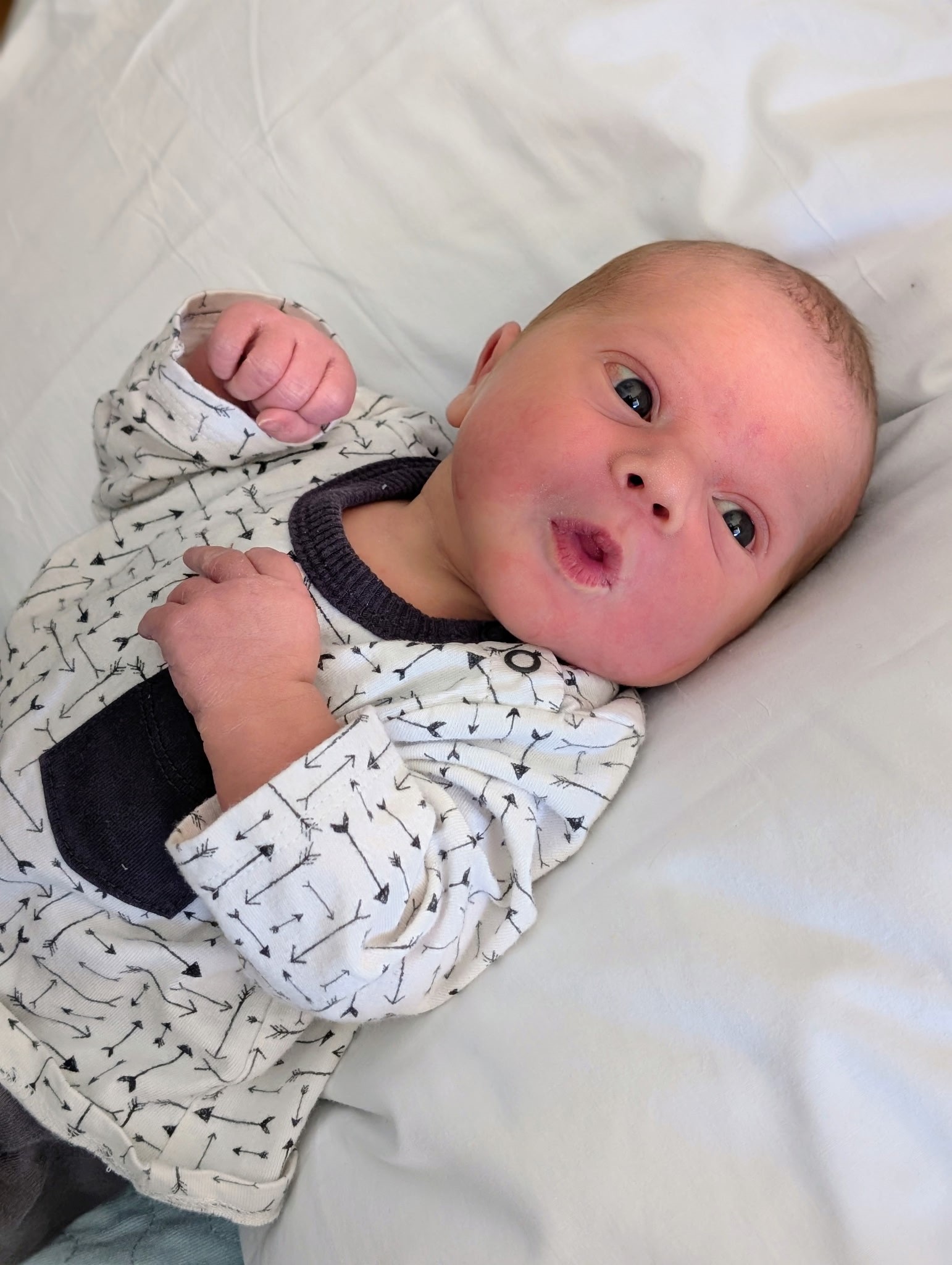 New Arrival: Bennett Cirillo