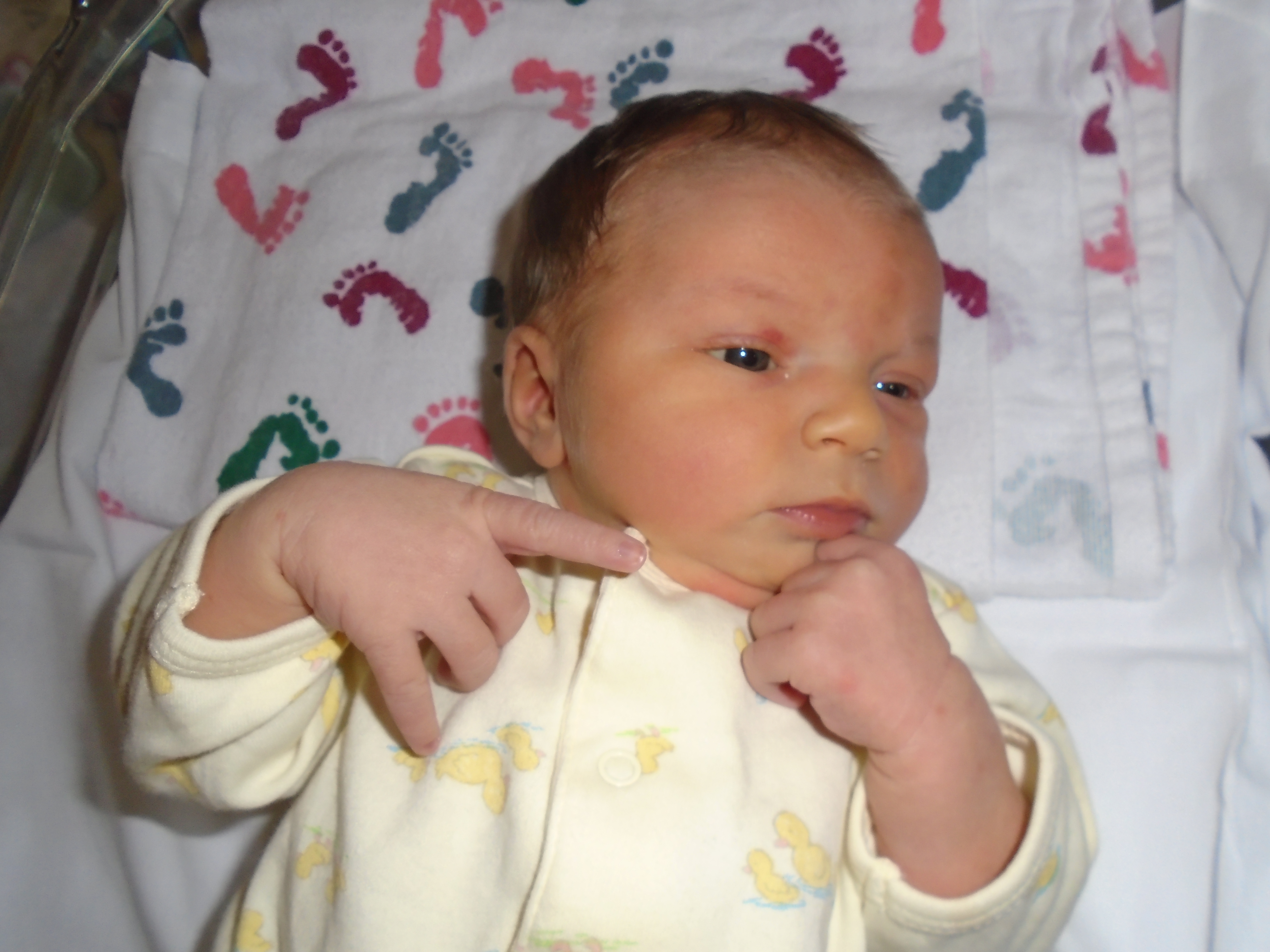 New Arrival- Violet Wahl