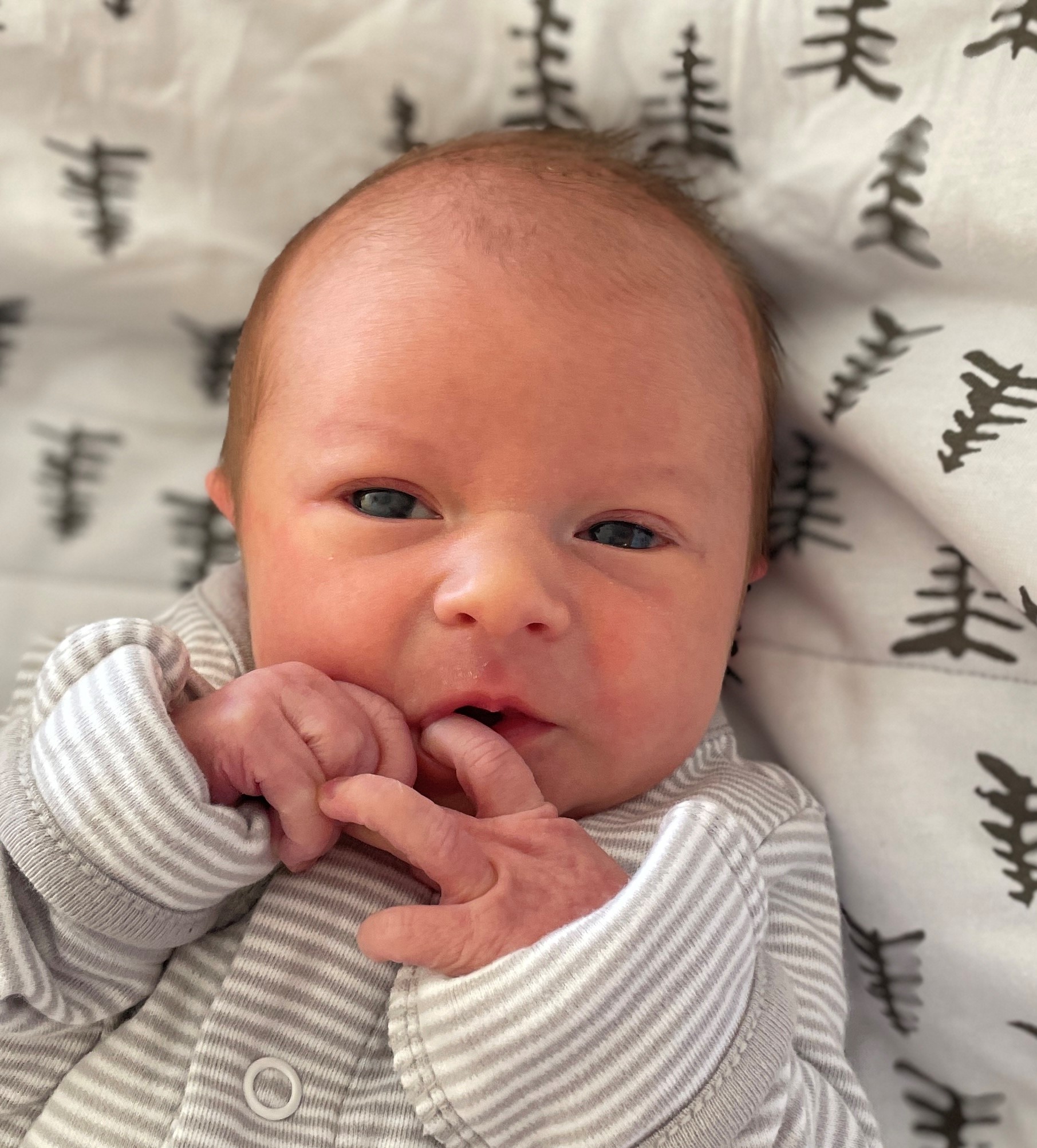 New Arrival: Adria Faith Byler