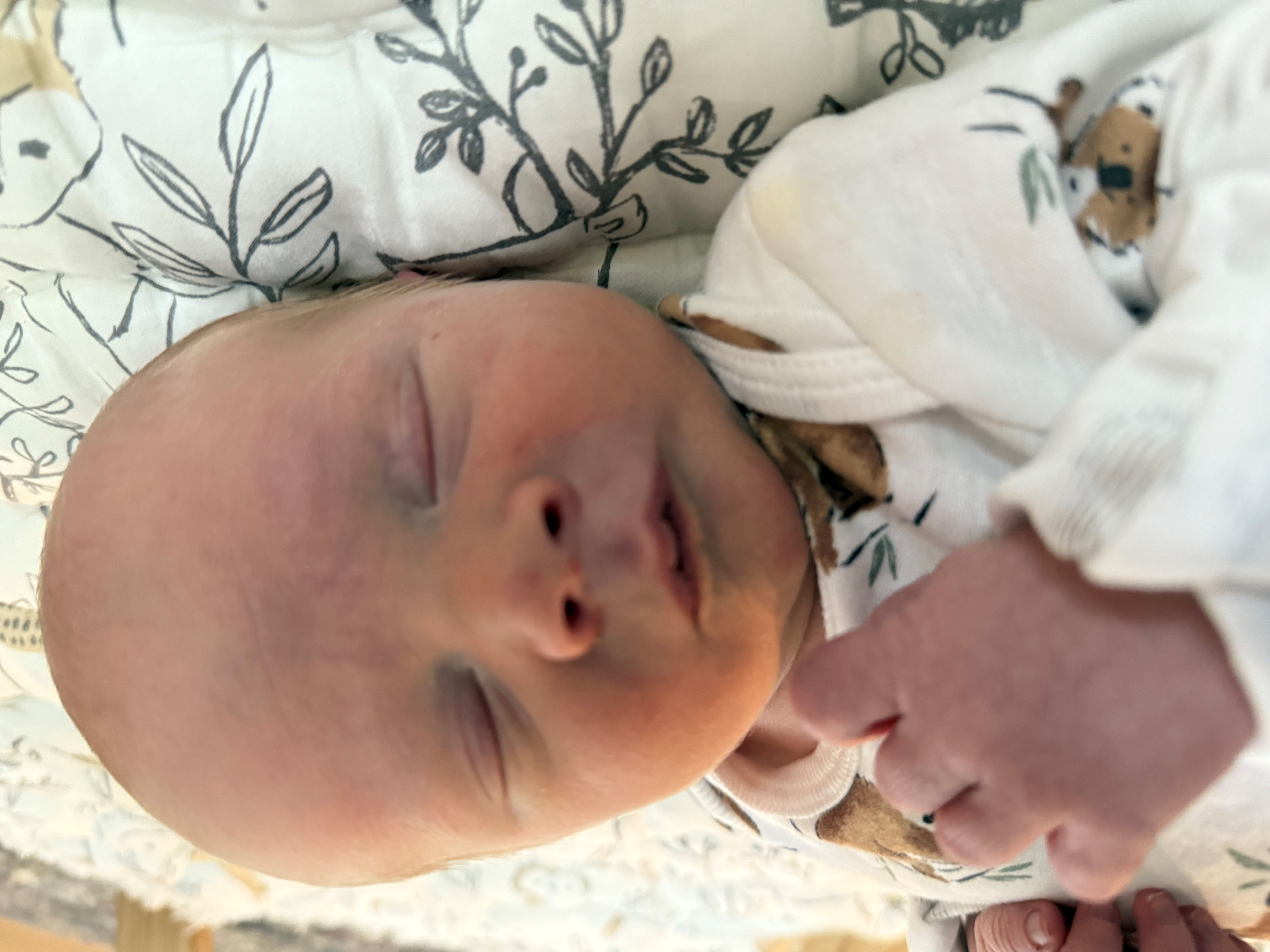 HRRMC Birth Announcement Webber