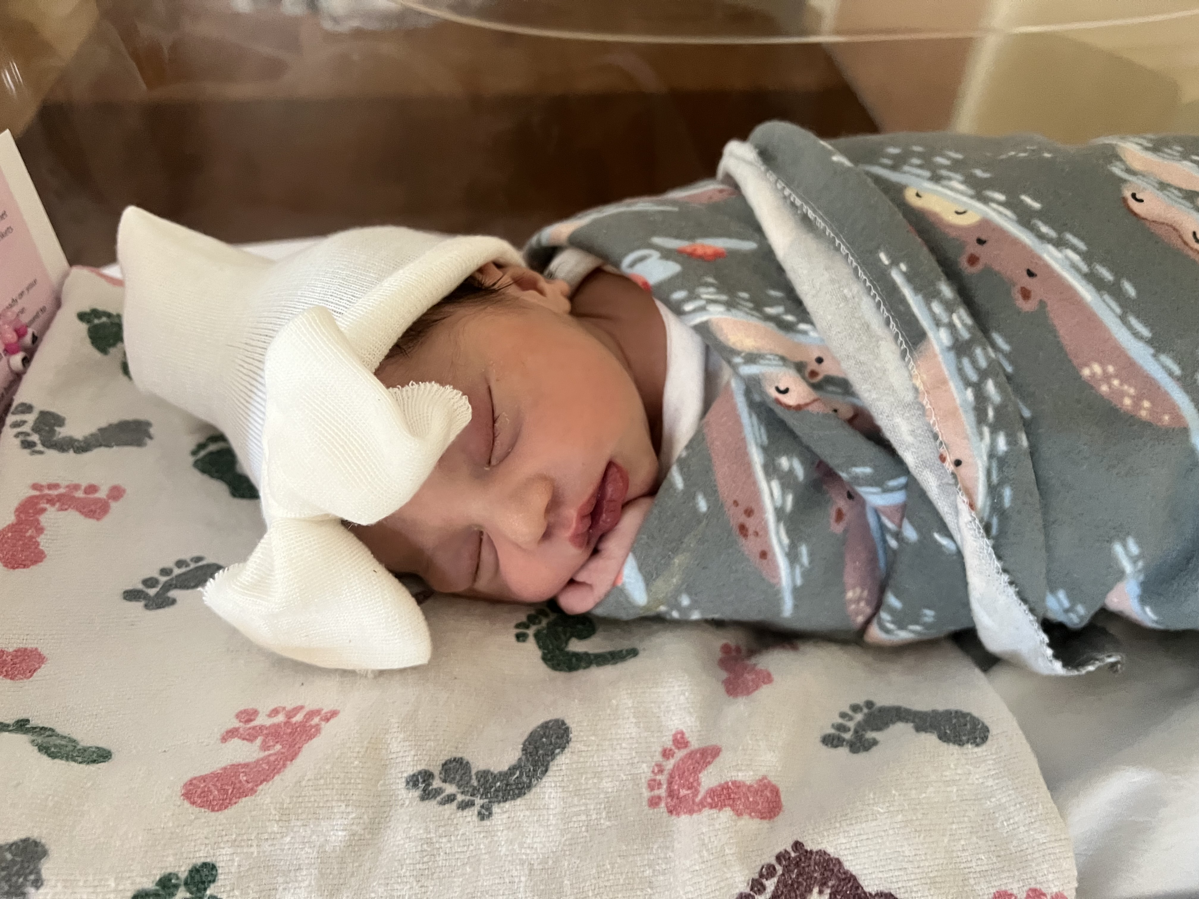 New Arrival: Evelina Jade Dewberry