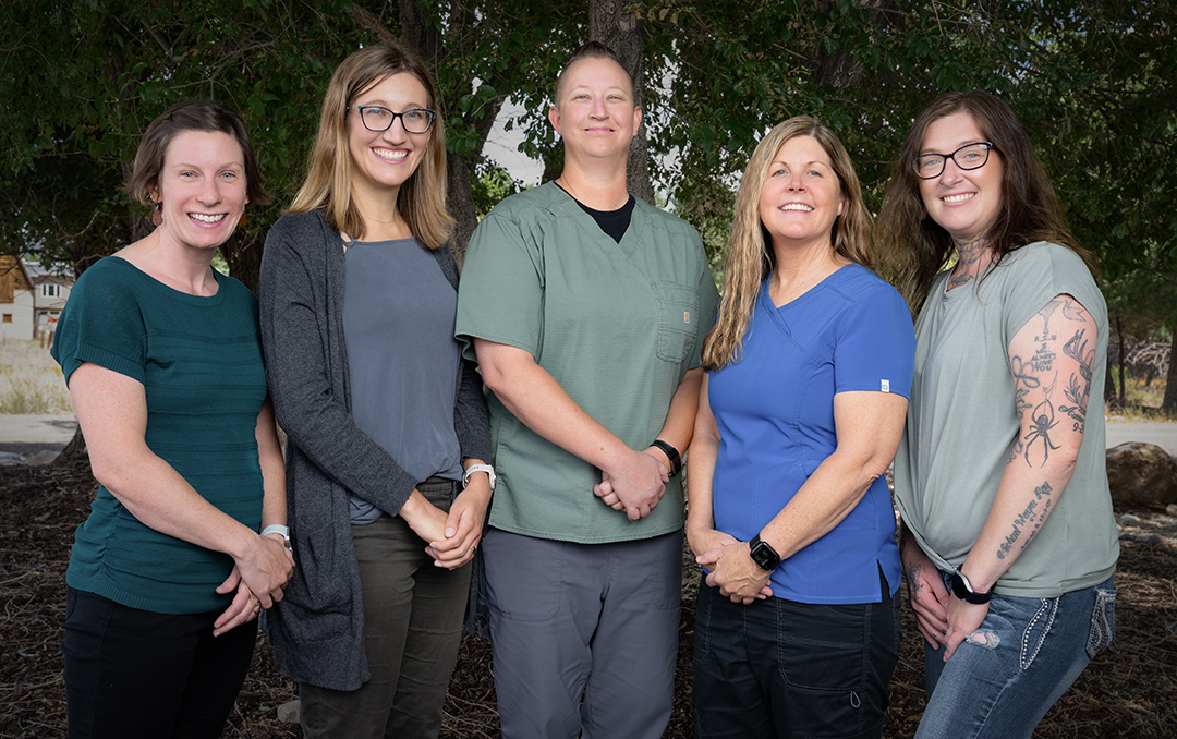 The Green Line: Substance use Services