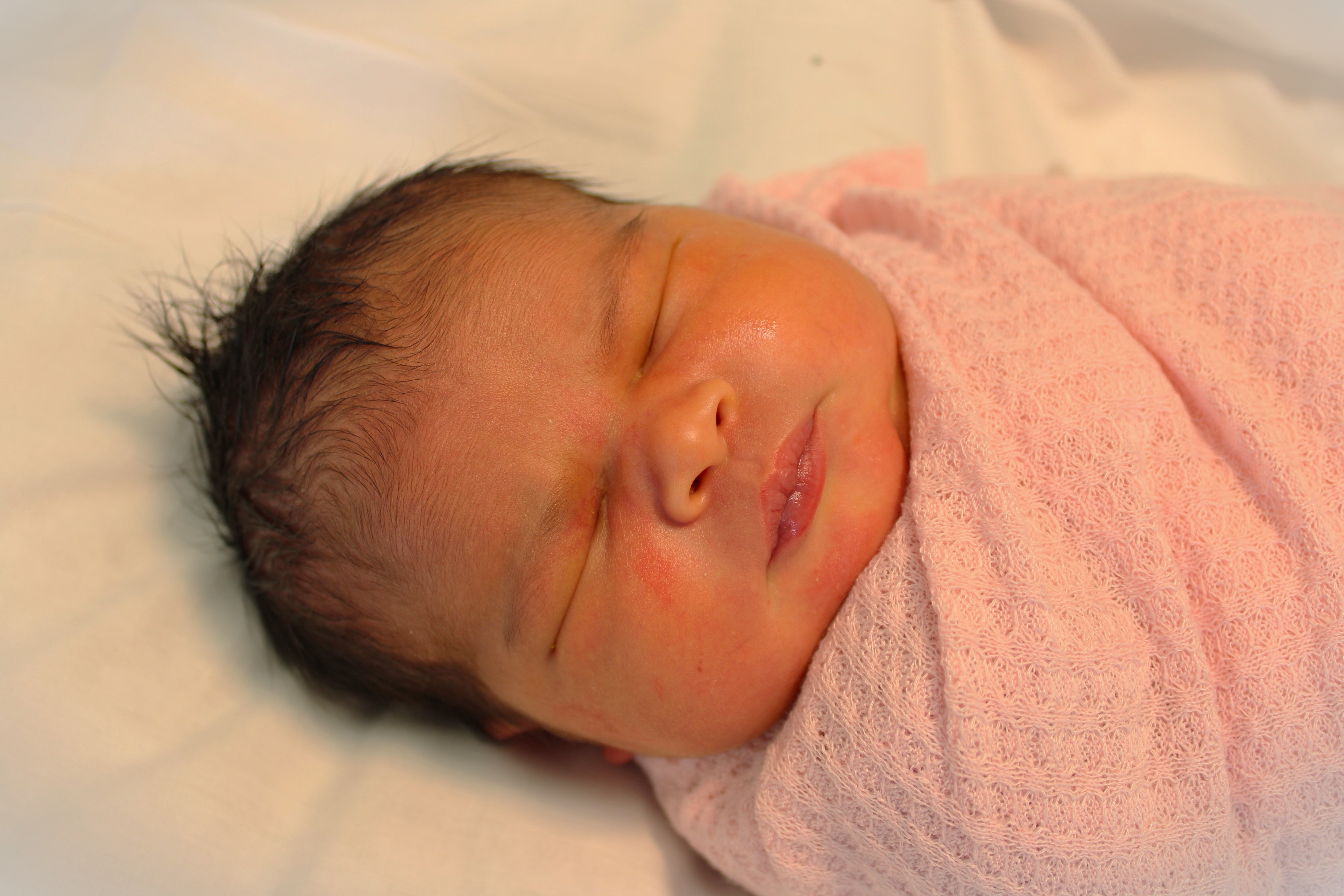 New Arrival: Nova Nicolle Villalobos