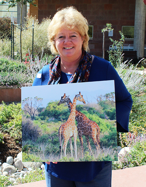 Salida hospital exhibits wildlife metal prints by Kathy Davidoff