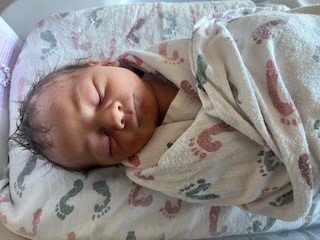 New Arrival: Dorothy Josephine Martin