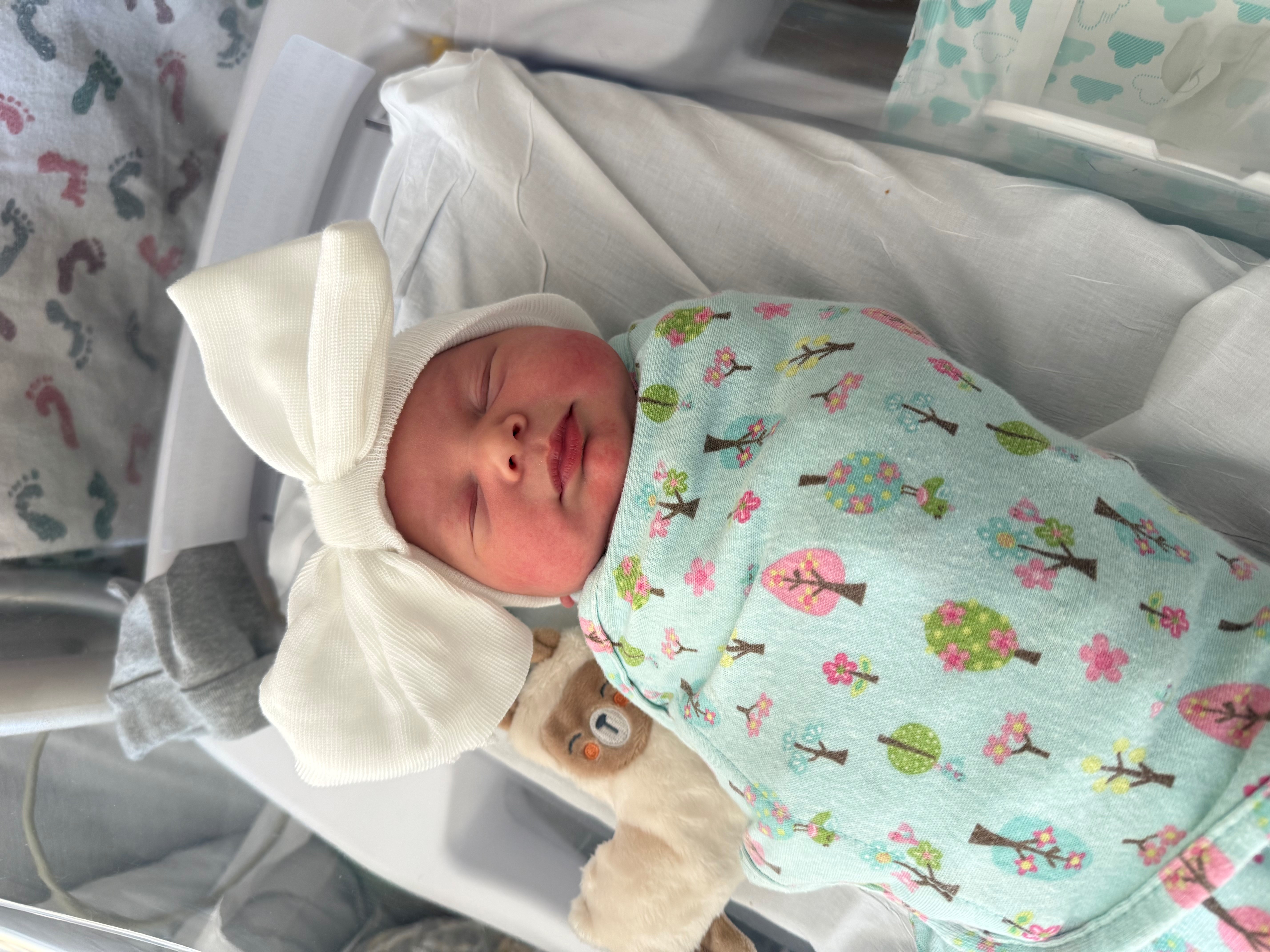 New Arrival: Eliana Lynn Meyer