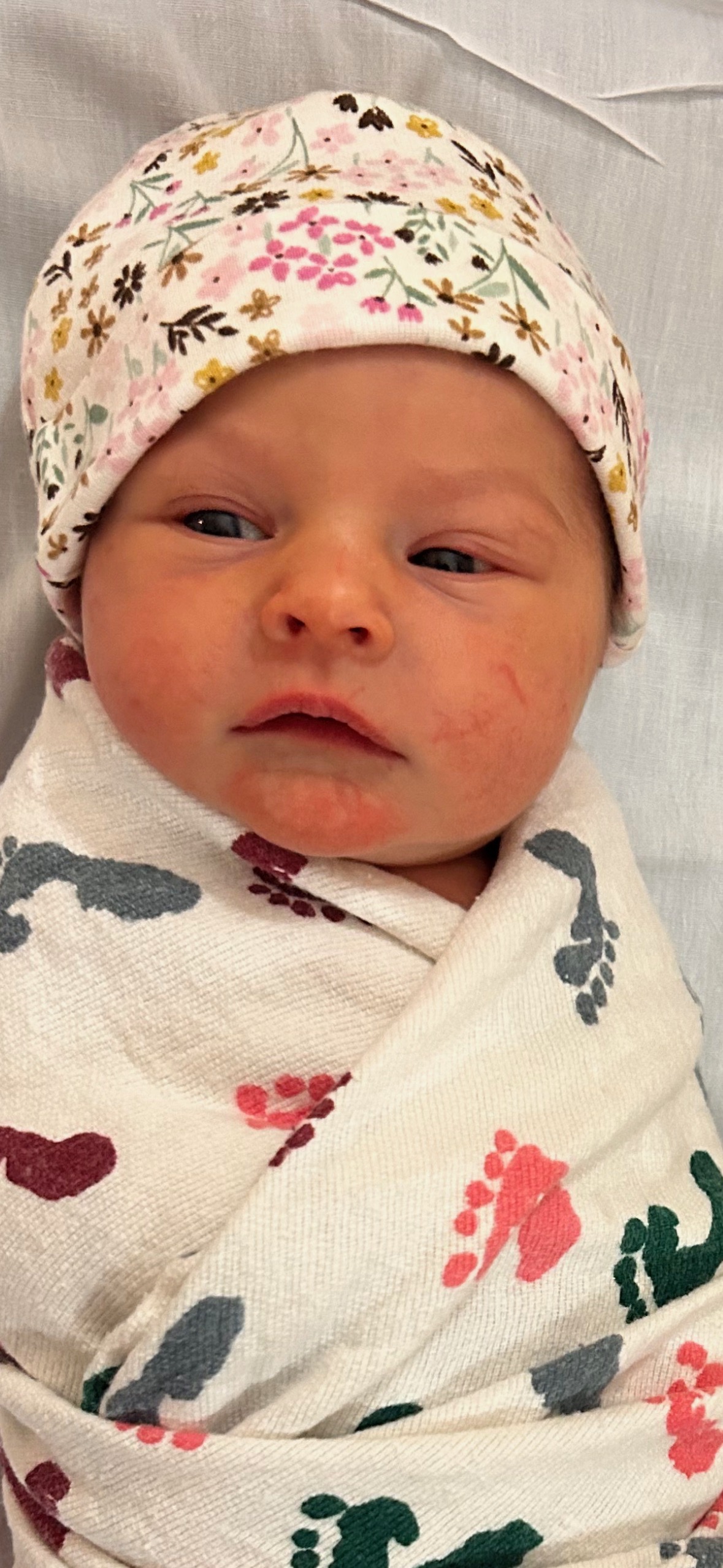 New Arrival- Sutton Ann Schoenfeld