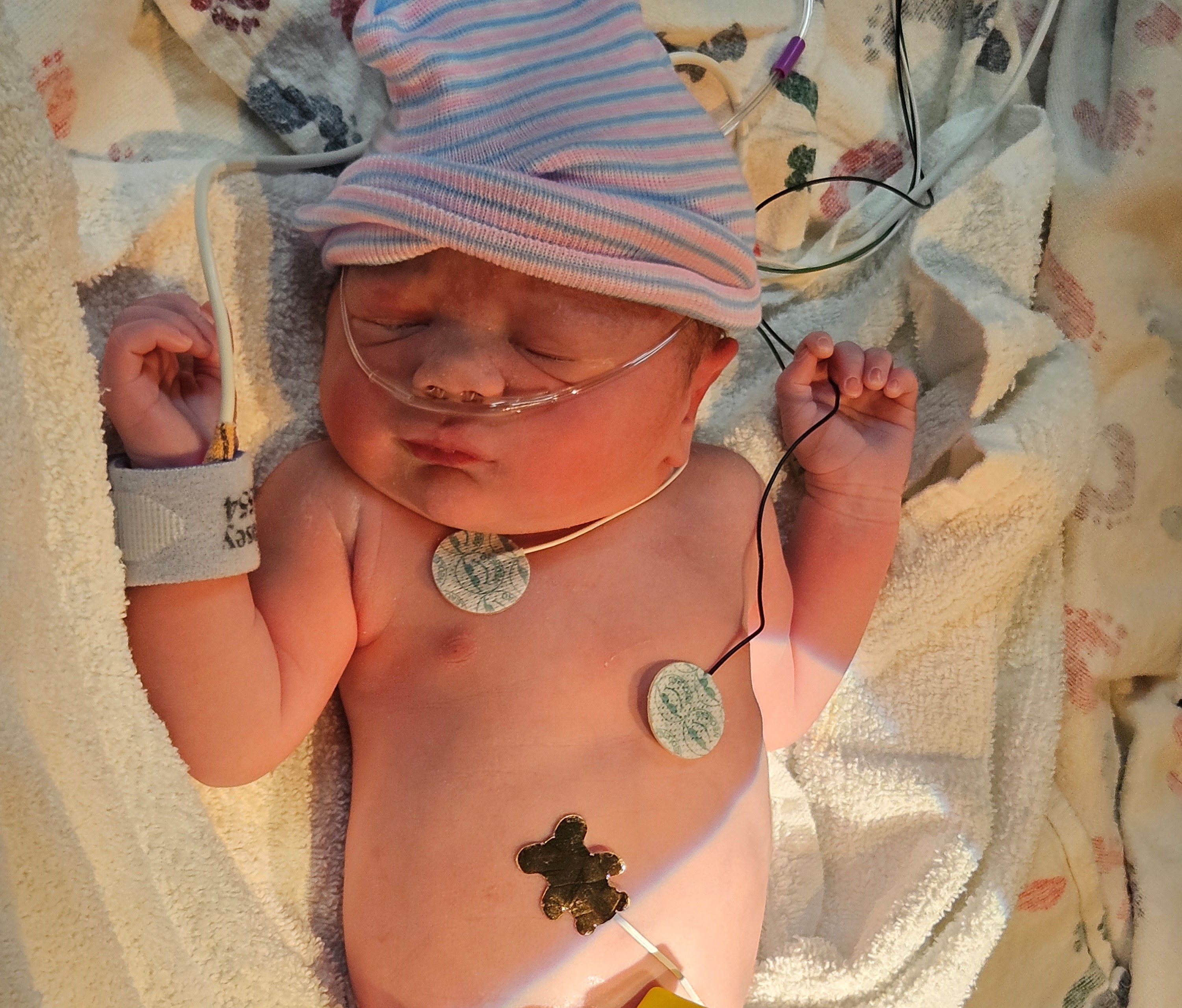 New Arrival: Isabella Asami Smith