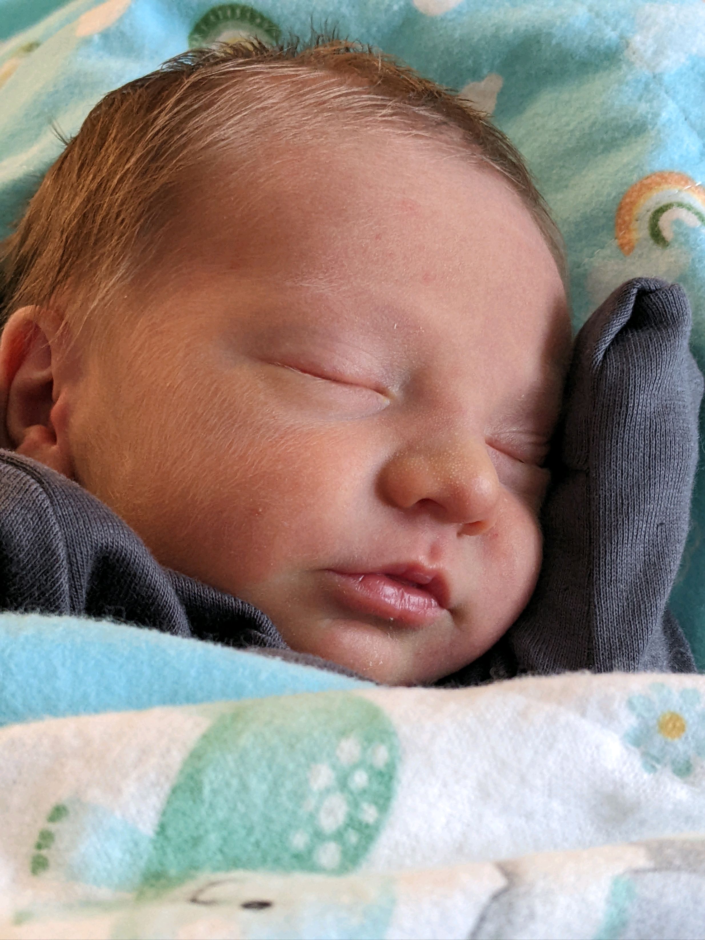 New Arrival - Theodore Alan Woolman